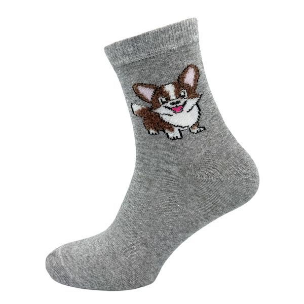 , Носки, 36-40, Микс цветов, Демисезон