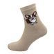 , Носки, 36-40, Микс цветов, Демисезон